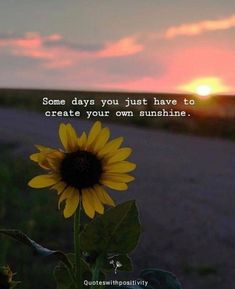 a sunflower in front of a sunset with a quote about some days you just have to create your own sunshine