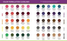 the color guide for different shades of paint