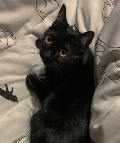 a black cat sitting on top of a bed