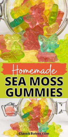 homemade sea moss gummies in a jar with text overlay that reads homemade sea moss gummies