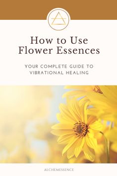 Haircare Ideas, Herb Remedies, Brand Moodboard, Flower Remedies, Flower Magic, Bach Flower Remedies, Aromatherapy Recipes, Flower Remedy