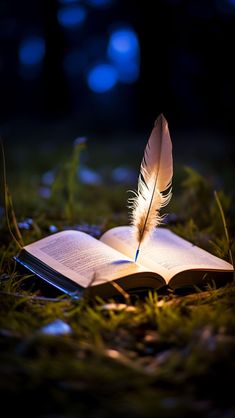 an open book with a feather resting on it's side next to a lit candle