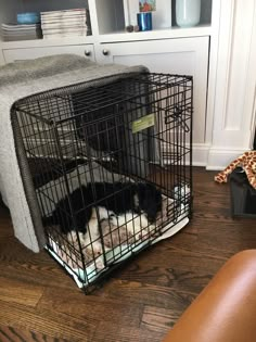 two dogs are in their cages on the floor