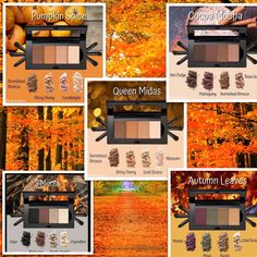 Mary Kay Fall 2023, Fall Eye Looks, Mary Kay Organization, Lash Intensity Mary Kay, Eyeshadow Combos, Mary Kay Eye Makeup, Mary Kay Quotes, Mary Kay Eyeshadow