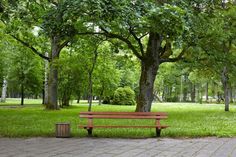 a wooden bench sitting in the middle of a park next to a tree and trash can