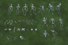 an aerial view of many skeletons in the grass