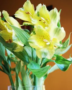 a vase filled with yellow flowers on top of a table