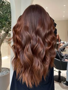 Hair Color Gloss, Fall Hair Colors For Brunettes, Cinnamon Hair, Fall Hair Color Ideas, Chestnut Hair, Embracing Diversity, Hair Color Caramel