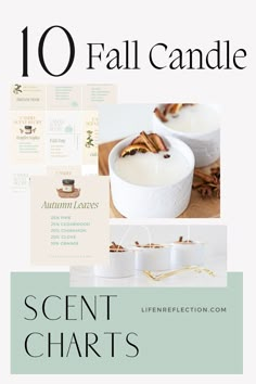 the cover of 10 fall candles