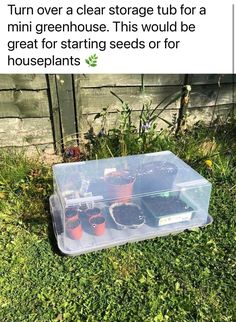 a plastic container filled with plants sitting in the grass