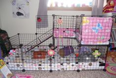 a cage with stuffed animals in it on the floor next to a book shelf and window