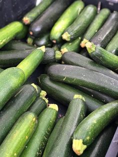 many cucumbers are sitting together in a bin