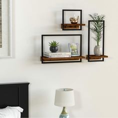 three shelves on the wall above a bed with a lamp and potted plant in it