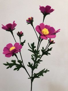 three purple flowers with yellow centers in a vase