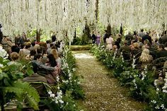 a group of people standing in front of a lush green forest filled with white flowers