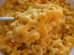 a fork full of macaroni and cheese on a plate