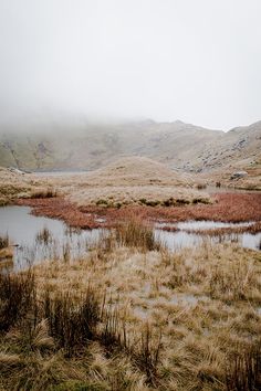 a small pond in the middle of a grassy field with mountains in the background on a foggy day