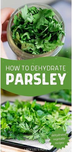 how to dehydraate parsley in the kitchen