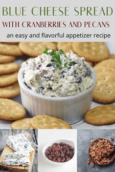 blue cheese spread with cranberries and pecans an easy and flavorful appetizer recipe