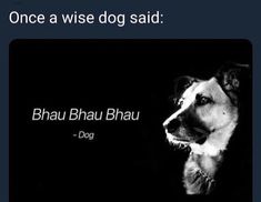 a black and white photo of a dog with the words, once a wise dog said bhau bhau bhau bhau bhau