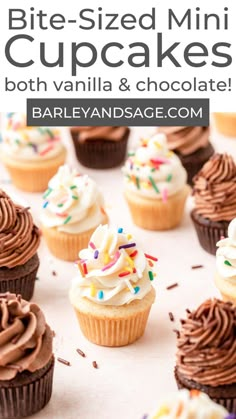 chocolate cupcakes with white frosting and sprinkles