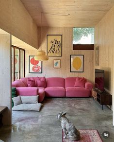 a dog sitting in the middle of a living room with pink couches and rugs