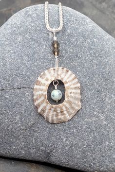 a shell with a pearl is sitting on top of a rock and has a chain attached to it