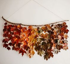 an arrangement of autumn leaves hanging on a wall