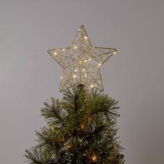 a small christmas tree with lights on it and a star decoration above the top, in front of a gray sky