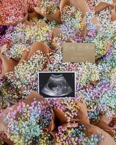 there are many different colored sprinkles on display together in this photo with a sign that says baby feet