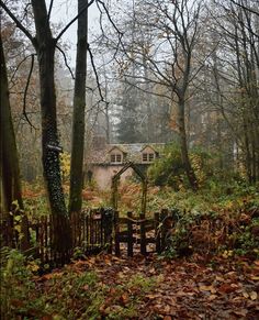 an old house in the woods surrounded by trees and leaves with a gate leading to it