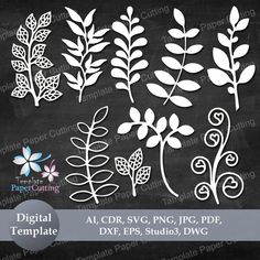 the digital cut files for paper cutting are available in various sizes and shapes, including leaves