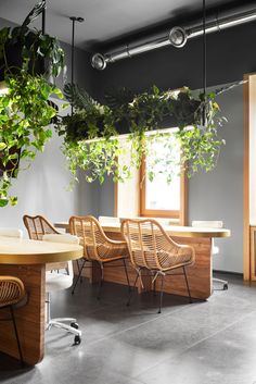 an office with plants hanging from the ceiling and chairs in front of a round table