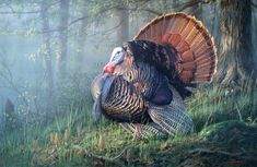 a large turkey is standing in the woods