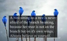 four blue birds sitting on top of branches with a quote above them that says, a bird sitting on a tree is never afraid of the branch breaking because her trust