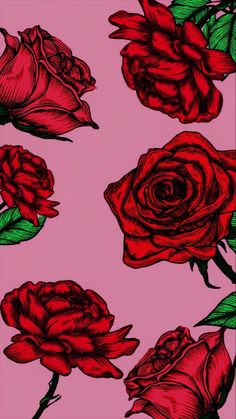 red roses on a pink background with green leaves