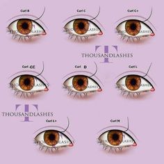 A Comprehensive Guide To Lash Mapping Lash Curls, Lash Tips, Lash Tweezers, Lash Extension Supplies, Different Curls, Cat Eye Lash