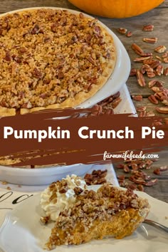 pumpkin crunch pie with pecans on the side