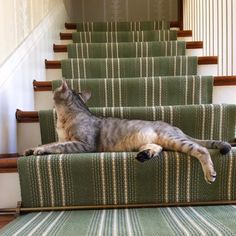 a cat laying on top of a green carpeted stair case next to a set of stairs