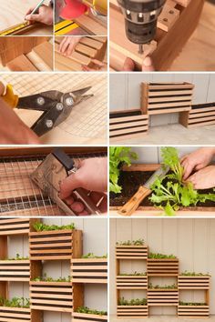 several pictures showing how to use wooden pallets as planters and shelves for plants