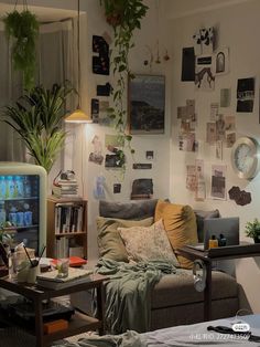 a living room filled with furniture and lots of plants