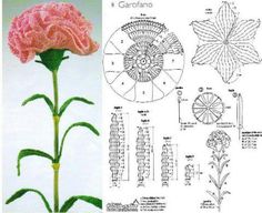 an image of a pink flower with instructions on how to cut it and draw it