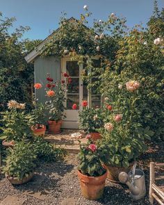 several potted flowers in front of a small house