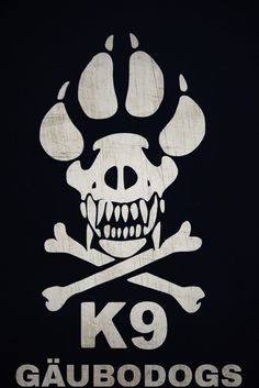 a skull and crossbones with the number 9 k9 written in white on a black background