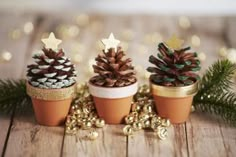 three small pine cones are sitting in clay pots on a wooden table with christmas decorations around them