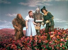 the wizard and his friends are standing in a field full of flowers with one holding a basket