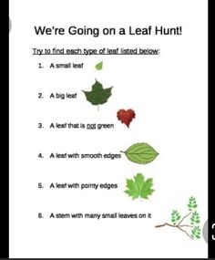 a leaf hunt is shown with the words, we're going on a leaf hunt