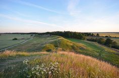 an open field with grass and trees on the other side in the distance is a dirt road