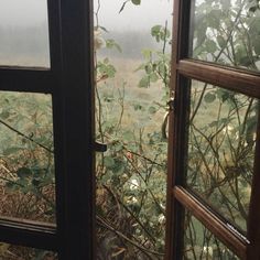 an open window looking out at a field and trees in the distance with fog on them