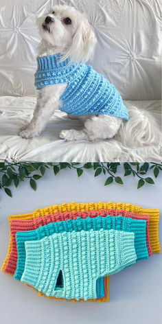 Here are four sizes in one free crochet dog jumper pattern for all kinds of fur friends. The project is easy and beginner-friendly. If you want to make this cozy coat for a dog, grab your gear and just give it a try! #freecrochetpattern #crochetdogcoat #crochetdogsweater #dogcoat #dogsweater #crochetdogjumper #dogjumper Dog Jumper Pattern, Crochet Dog Sweaters, Macrame Things, Crochet Dog Sweater Free Pattern, Large Dog Sweaters, Katt Grejer, Crochet Dog Clothes, Dog Coat Pattern, Dog Sweater Crochet Pattern